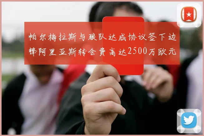 帕尔梅拉斯与狼队达成协议签下边锋阿里亚斯转会费高达2500万欧元