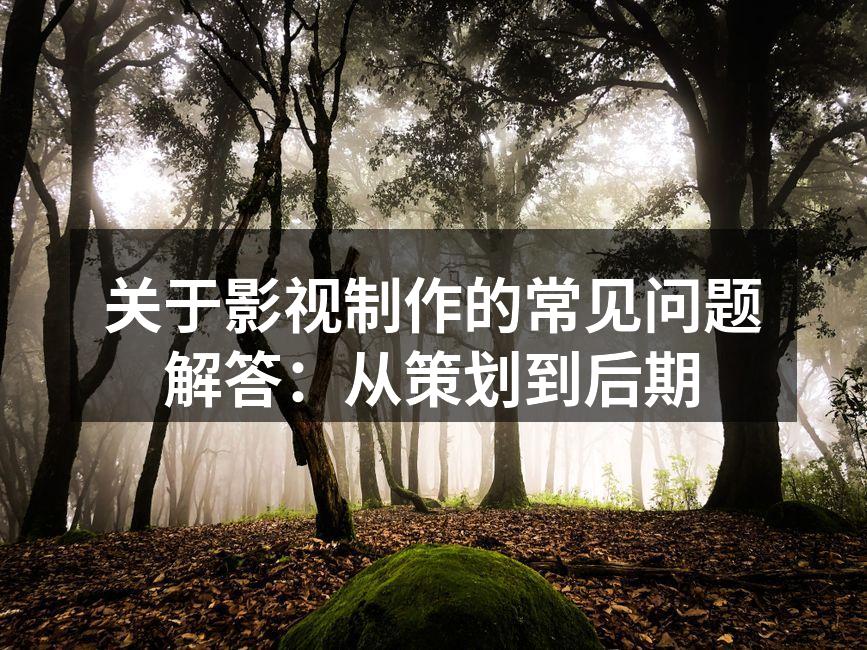 影视制作现场的团队合作