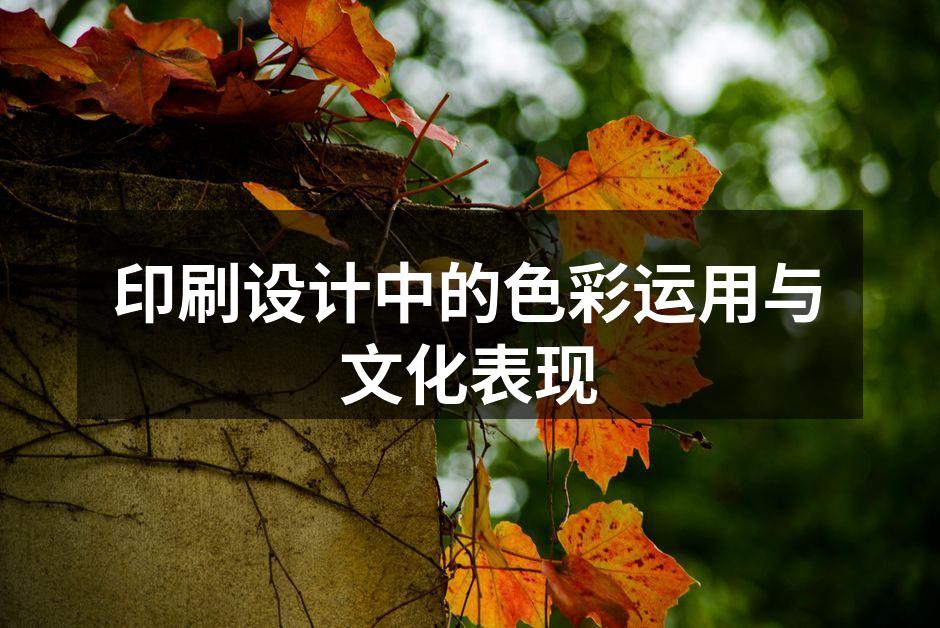 色彩与文化的完美融合