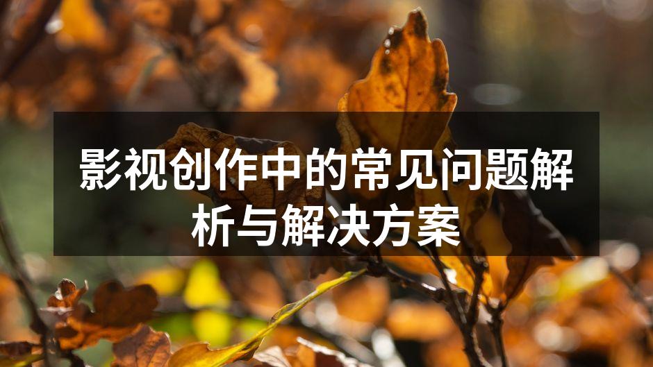 影视创作中的剧本与角色分析